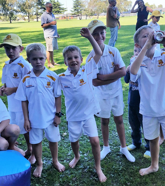 Kids soft ball grade junior cricket in Christchurch